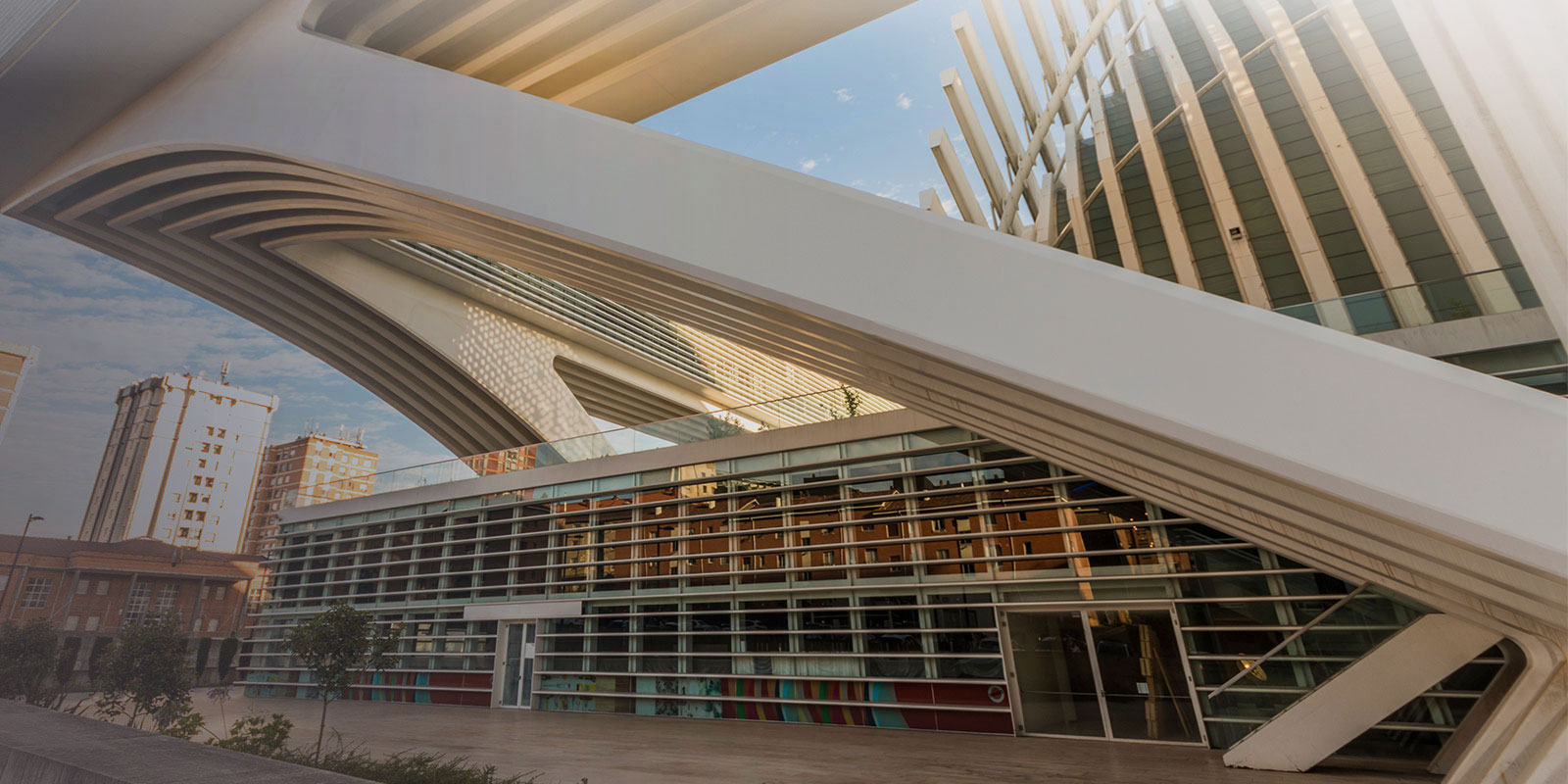 CIG provide Spanish and Portuguese translation services for conferences and remote meetings